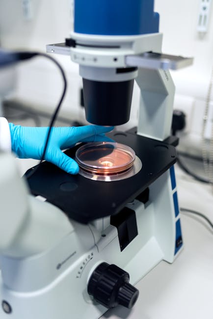 Formulation Development Laboratory
